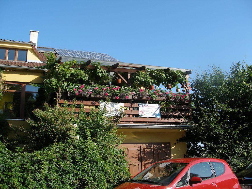 Penzion U Lesa Ceske Budejovice Exterior photo