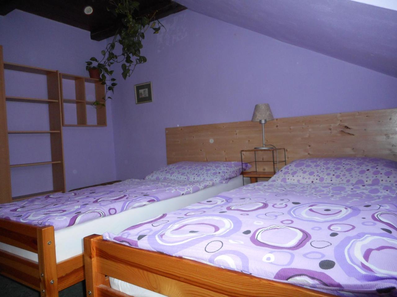 Penzion U Lesa Ceske Budejovice Exterior photo